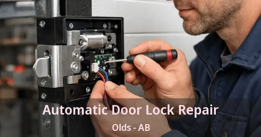 Automatic Door Lock Repair Olds - AB