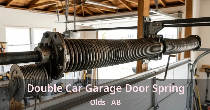 Double Car Garage Door Spring Olds - AB