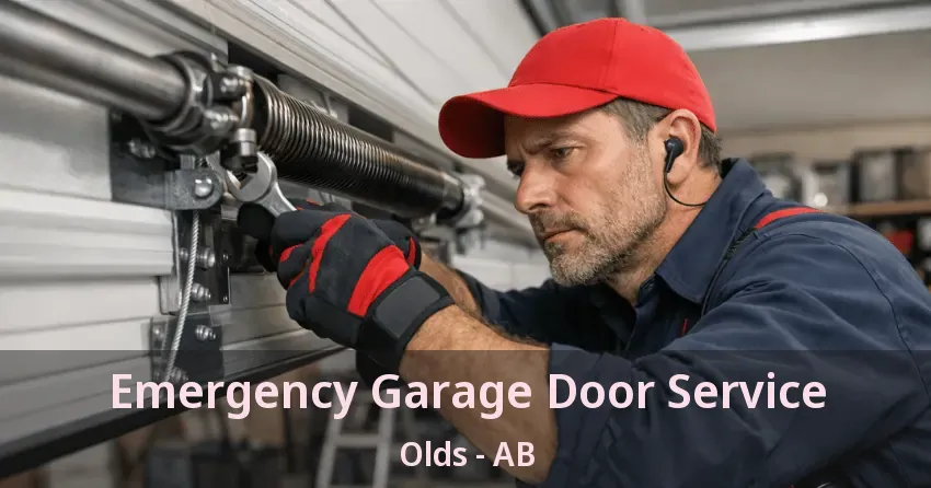 Emergency Garage Door Service Olds - AB