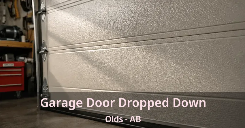 Garage Door Dropped Down Olds - AB