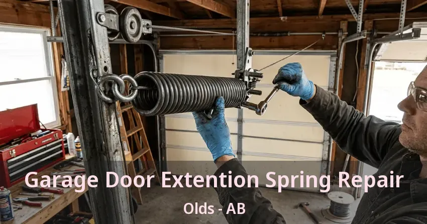 Garage Door Extention Spring Repair Olds - AB