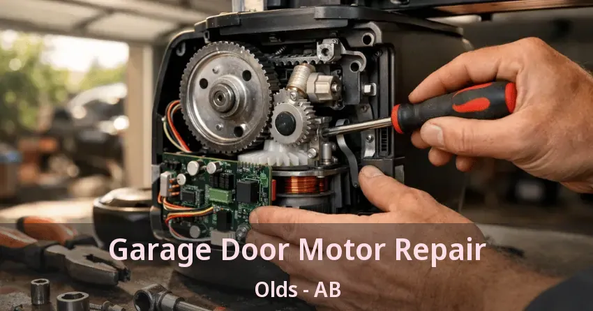Garage Door Motor Repair Olds - AB Garage Door Motor Repair Olds - AB