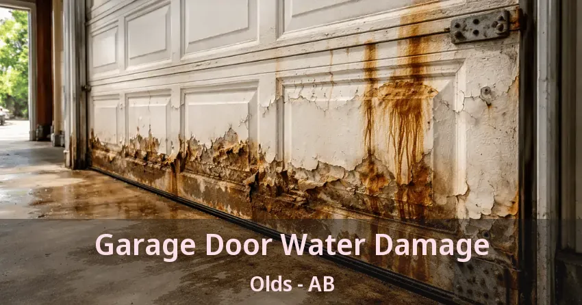 Garage Door Water Damage Olds - AB