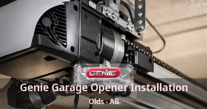 Genie Garage Opener Installation Olds - AB
