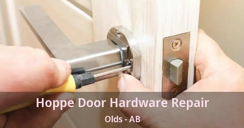Hoppe Door Hardware Repair Olds - AB