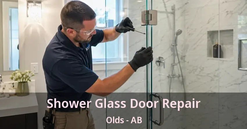 Shower Glass Door Repair Olds - AB