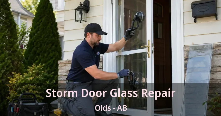 Storm Door Glass Repair Olds - AB